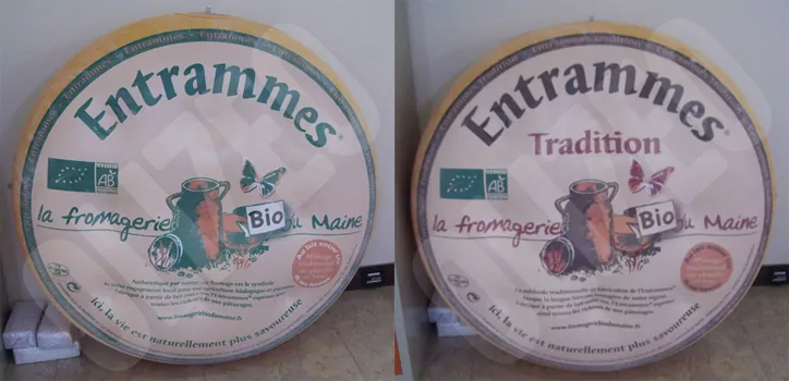 mini gonflable fromage entrammes