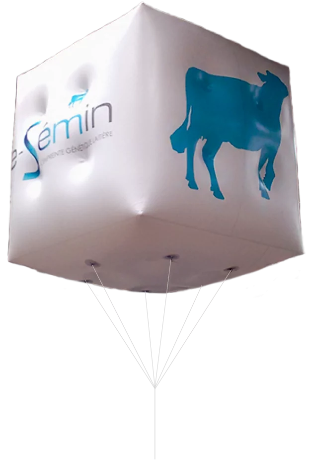 ballon cube helium pour le space semin