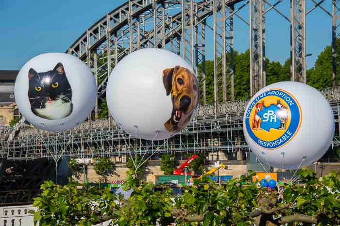 ballon gonflable sphere publicitaire helium SPA Paris, blanc, animaux